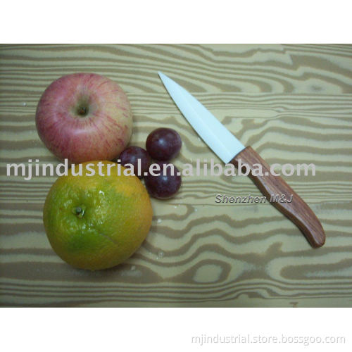Ceramic knife ES100W-P